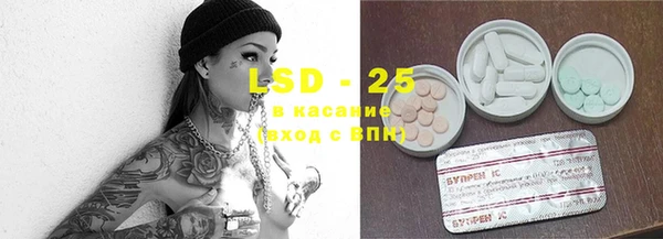 сатива Вязьма