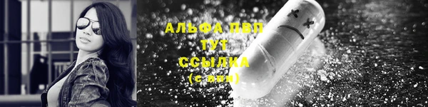 сатива Вязьма