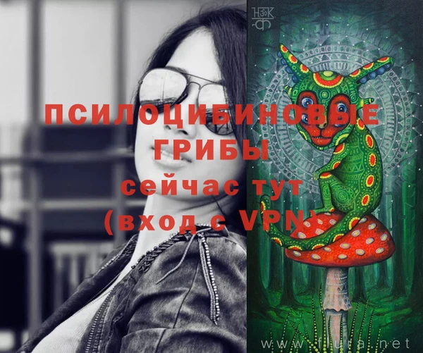 2c-b Вязники