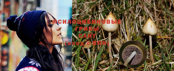 2c-b Вязники