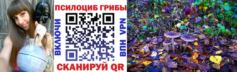 Галлюциногенные грибы мицелий  цены   Новомосковск 